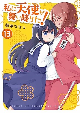 私に天使が舞い降りた!13巻の表紙