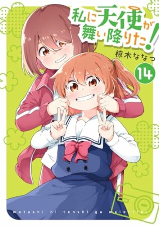 私に天使が舞い降りた!14巻の表紙