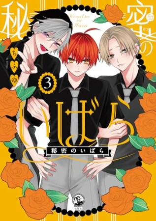 秘密のいばら3巻の表紙