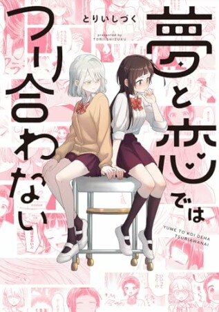 夢と恋ではつり合わない1巻の表紙