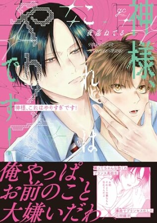 神様、これはやりすぎです!1巻の表紙