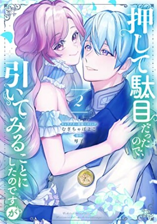 押して駄目だったので、引いてみることにしたのですが2巻の表紙