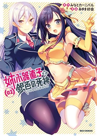 姉小路直子と銀色の死神2巻の表紙