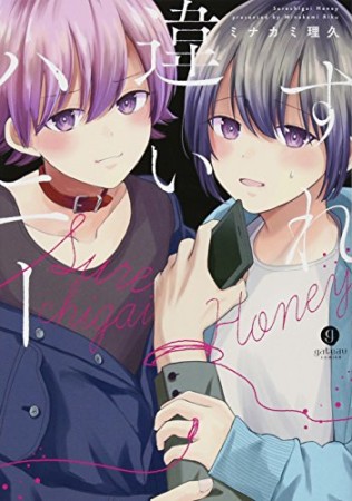 すれ違いハニー1巻の表紙