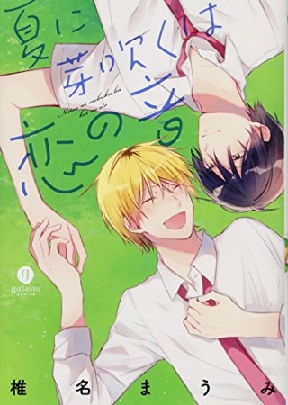 夏に芽吹くは恋の音1巻の表紙