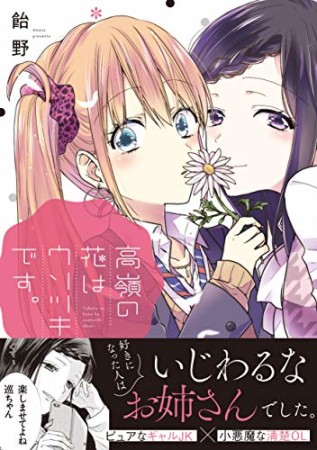 高嶺の花はウソツキです。1巻の表紙