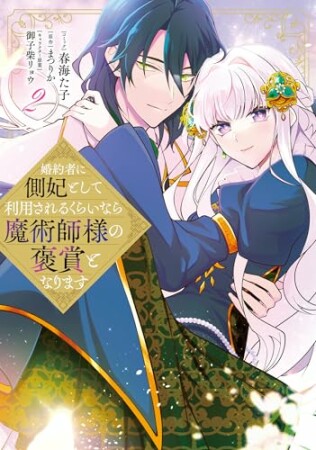 婚約者に側妃として利用されるくらいなら魔術師様の褒賞となります2巻の表紙