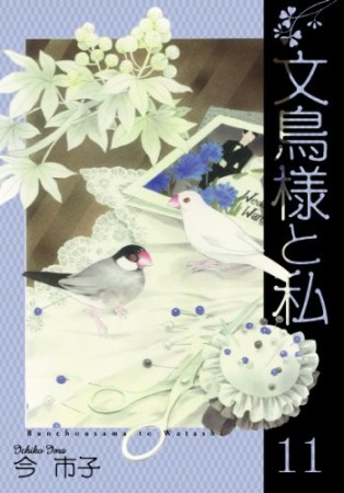 文鳥様と私11巻の表紙