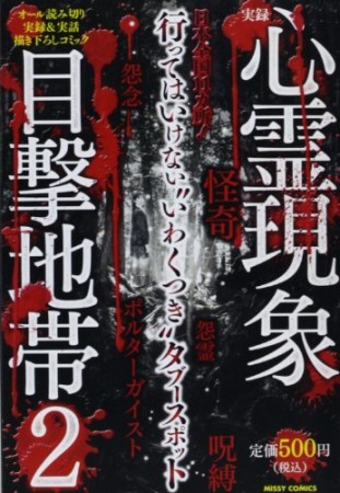 実録心霊現象目撃地帯2巻の表紙