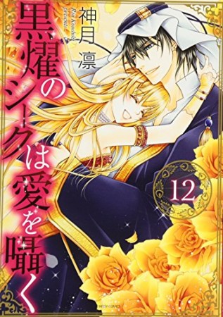 黒燿のシークは愛を囁く12巻の表紙