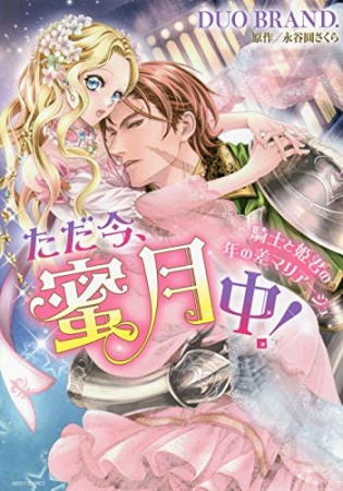 ただ今、蜜月中！ 騎士と姫君の年の差マリアージュ1巻の表紙