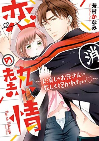 恋の熱情~火消しのお兄さんに激しく抱かれたい~1巻の表紙