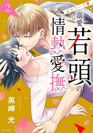 止めないで▼溺愛若頭の情熱愛撫2巻の表紙