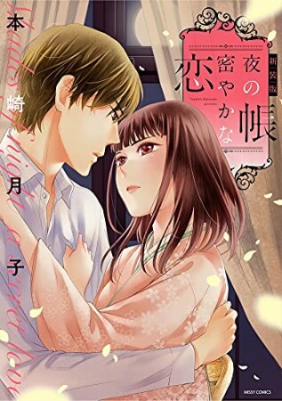 新装版 夜の帳 密やかな恋1巻の表紙