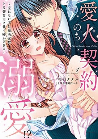 愛人契約のち溺愛!?～売れないTL漫画家はドS御曹司に甘く啼かされる～1巻の表紙