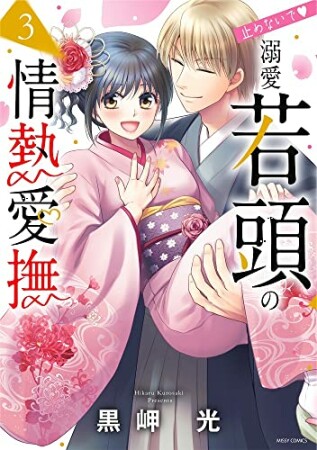 止めないで▼溺愛若頭の情熱愛撫3巻の表紙