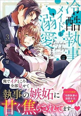 冷酷執事はメイドを溺愛する3巻の表紙