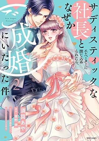 サディスティックな社長とエレベーターに閉じ込められたら、なぜかご成婚にいたった件。2巻の表紙