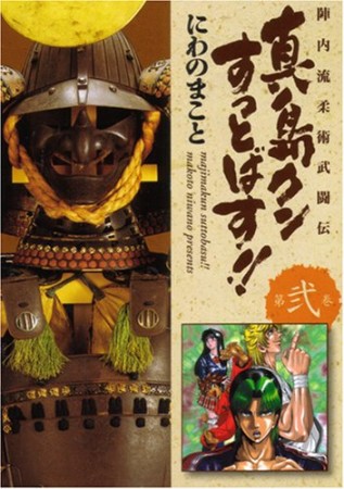 陣内流柔術武闘伝 真島クンすっとばす!!2巻の表紙