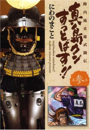 陣内流柔術武闘伝 真島クンすっとばす!!3巻の表紙