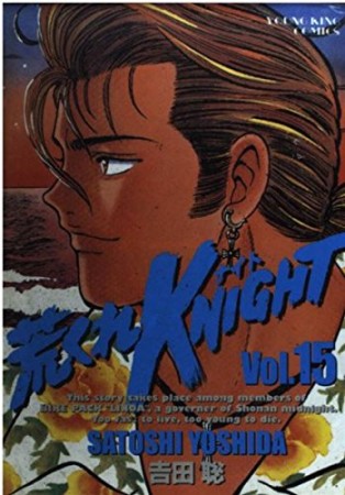 荒くれKNIGHT15巻の表紙