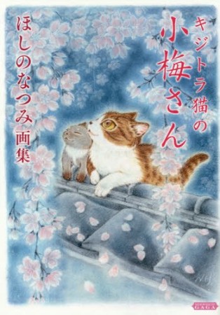 キジトラ猫の小梅さんほしのなつみ画集1巻の表紙