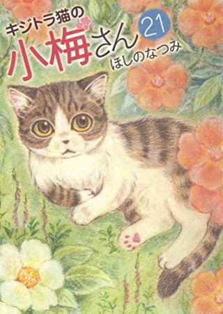 キジトラ猫の小梅さん21巻の表紙