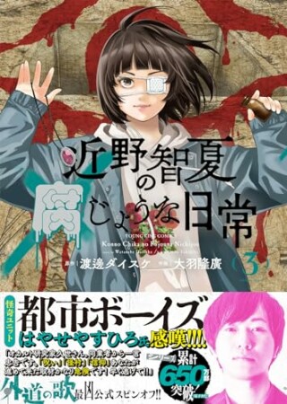 近野智夏の腐じょうな日常3巻の表紙