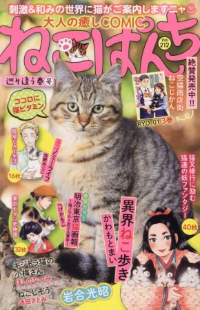 ねこぱんち212巻の表紙