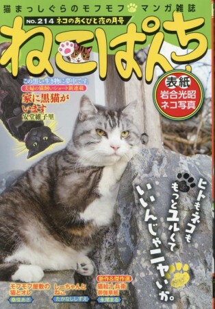 ねこぱんち2巻の表紙