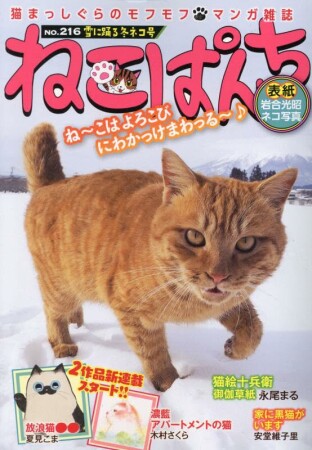 ねこぱんち216巻の表紙