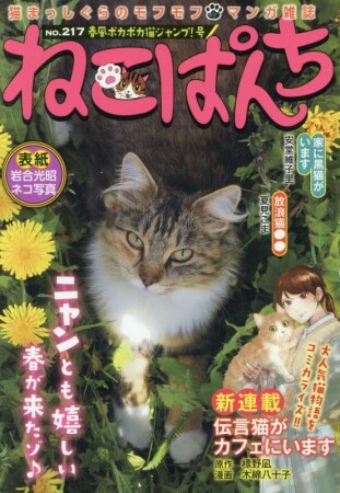 ねこぱんち217巻の表紙