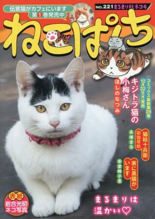 ねこぱんち221巻の表紙
