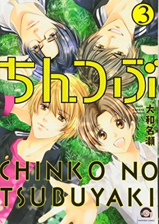 ちんつぶ 新装版3巻の表紙