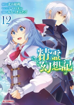精霊幻想記12巻の表紙