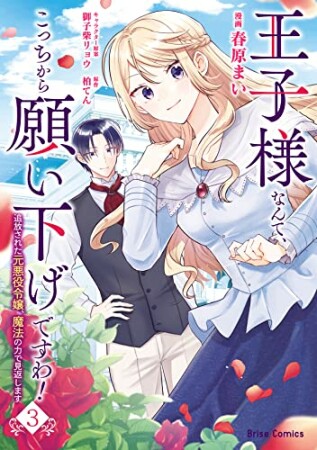 王子様なんて、こっちから願い下げですわ！　～追放された元悪役令嬢、魔法の力で見返します～3巻の表紙