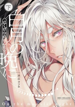 白月の晩に2巻の表紙
