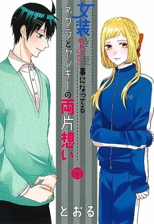 女装してめんどくさい事になってるネクラとヤンキーの両片想い11巻の表紙