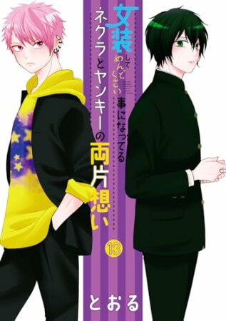 女装してめんどくさい事になってるネクラとヤンキーの両片想い13巻の表紙