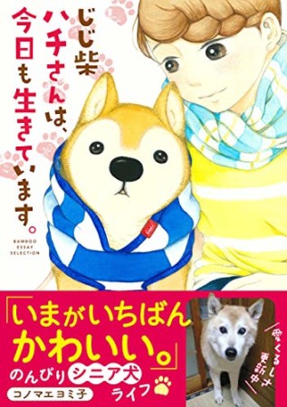 じじ柴ハチさんは、今日も生きています。1巻の表紙