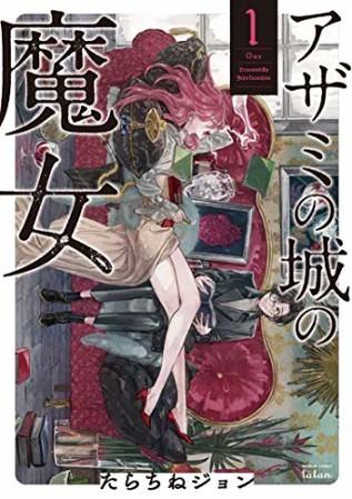 アザミの城の魔女1巻の表紙