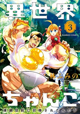 異世界ちゃんこ  横綱目前に召喚されたんだが3巻の表紙