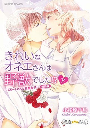 きれいなオネエさんは野獣でした!?エリートさんと社畜女子 婚約編2巻の表紙