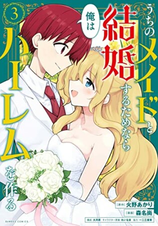 うちのメイドと結婚するためなら俺はハーレムを作る3巻の表紙