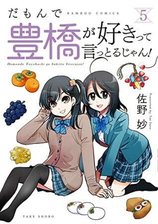 だもんで豊橋が好きって言っとるじゃん！5巻の表紙