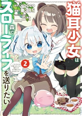 猫耳少女は森でスローライフを送りたい ~もふもふは所望しましたが、聖女とか王子様とかは注文外です~2巻の表紙