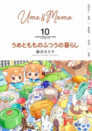 うめともものふつうの暮らし10巻の表紙