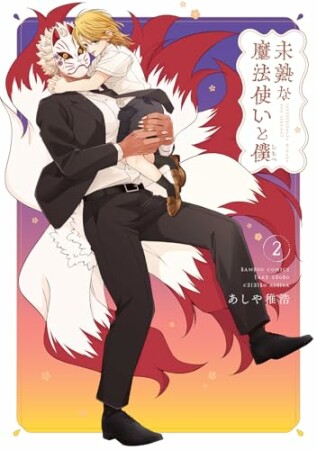 未熟な魔法使いと僕2巻の表紙