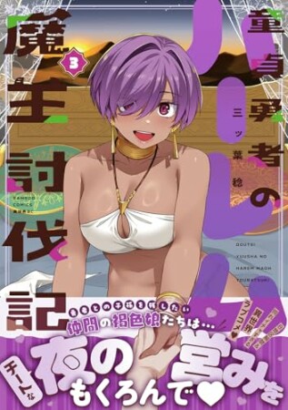 童貞勇者のハーレム魔王討伐記3巻の表紙