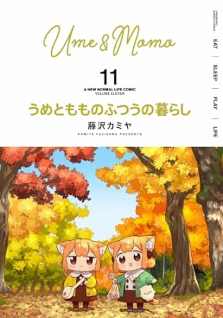うめともものふつうの暮らし11巻の表紙